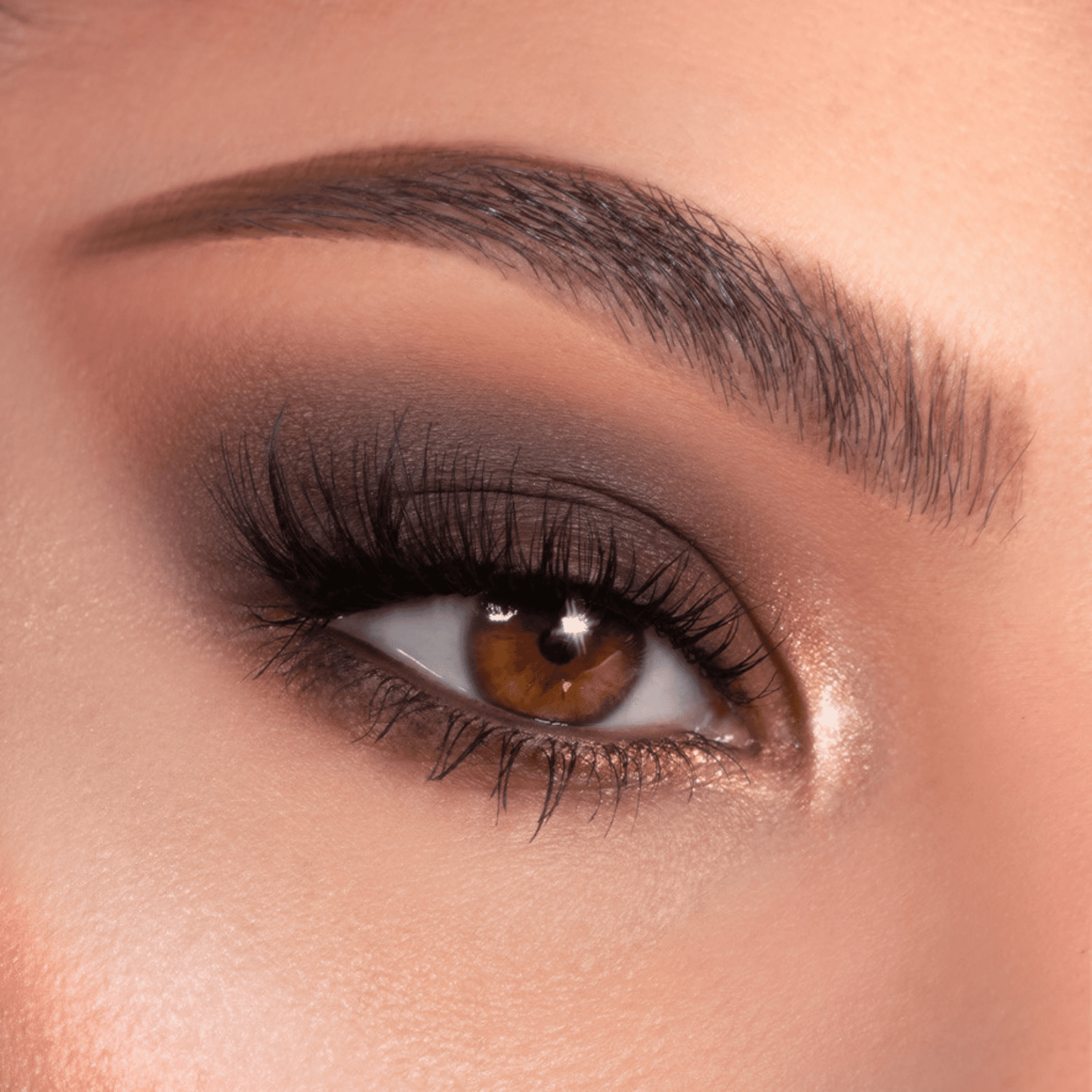 Shadow Palette - Image 9