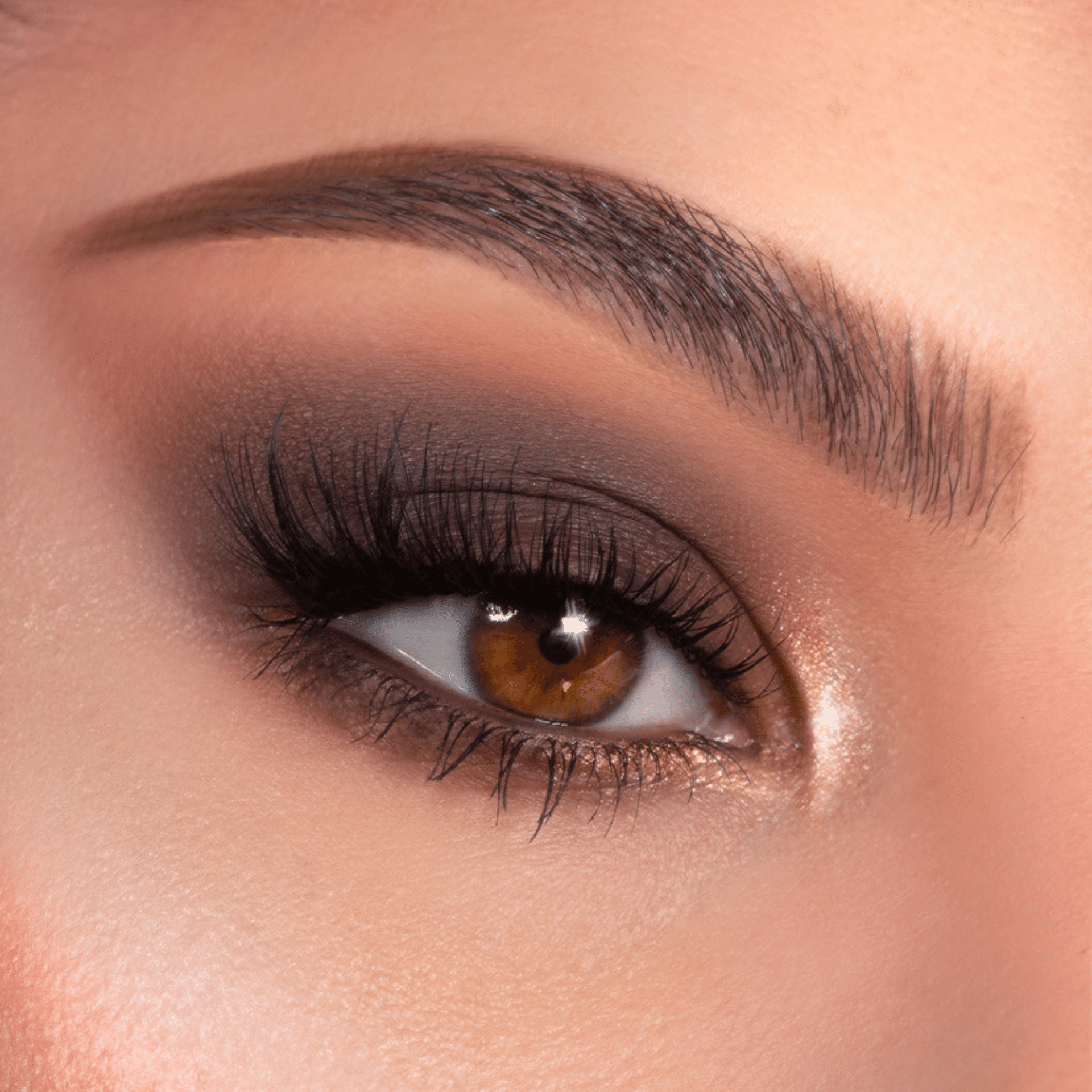 Shadow Palette - Image 9
