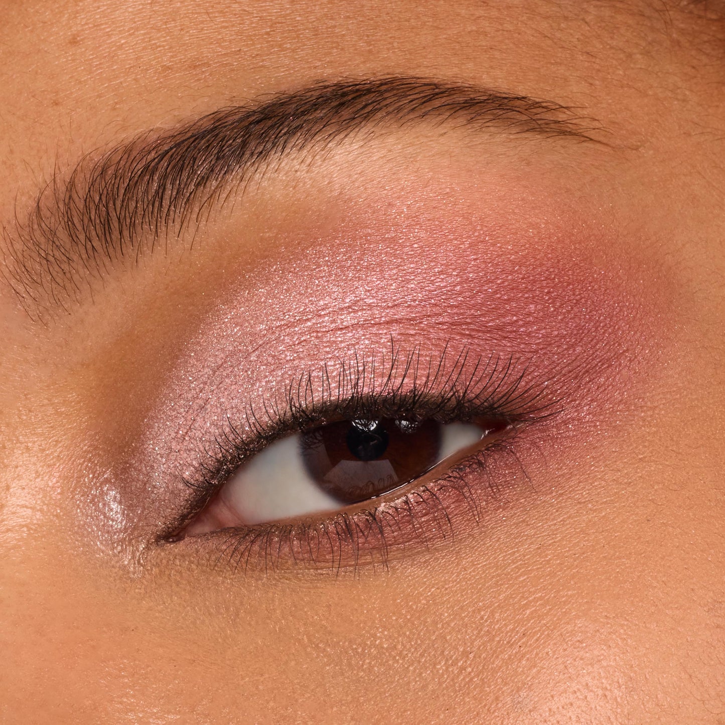 Shadow Palette - Image 5