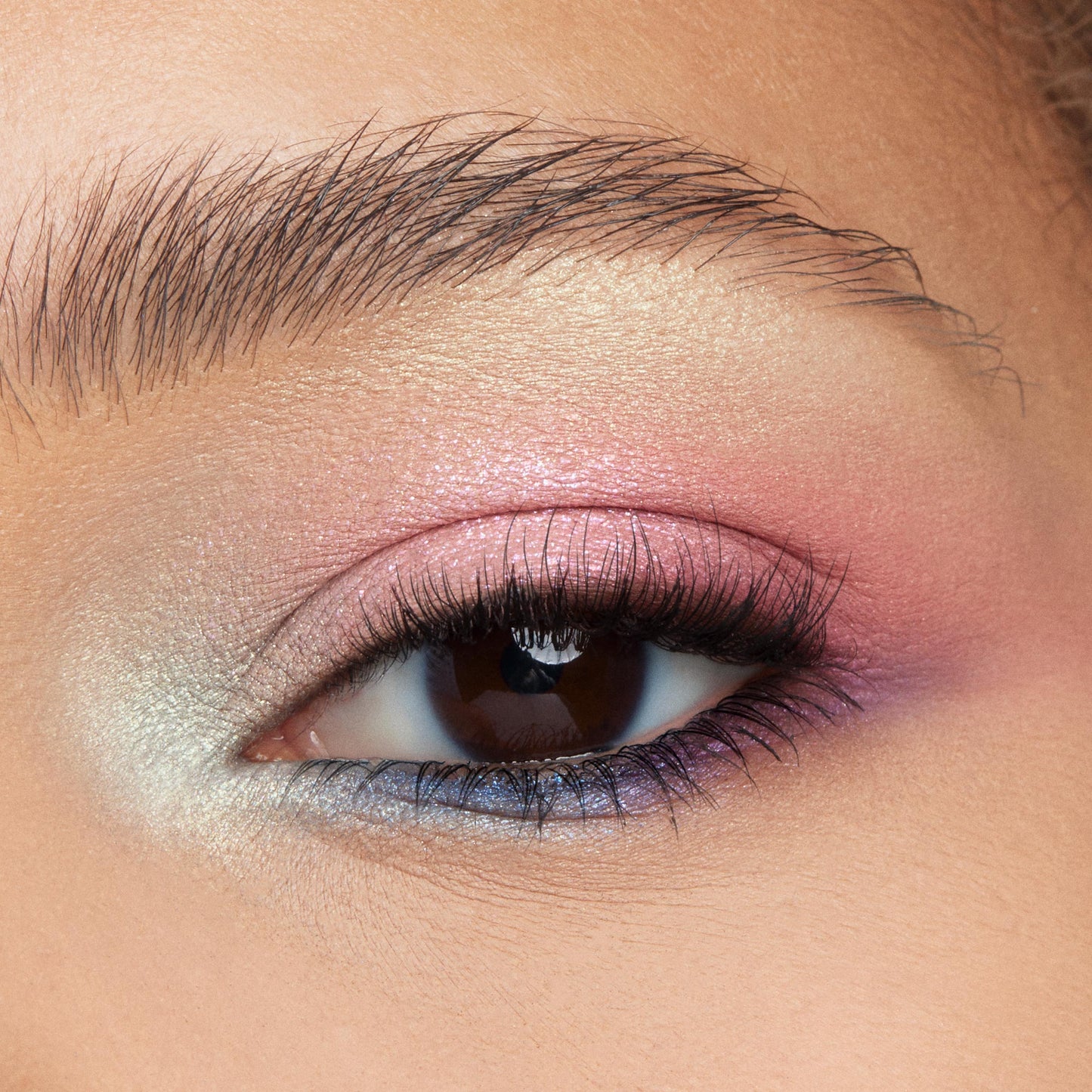 Shadow Palette - Image 4