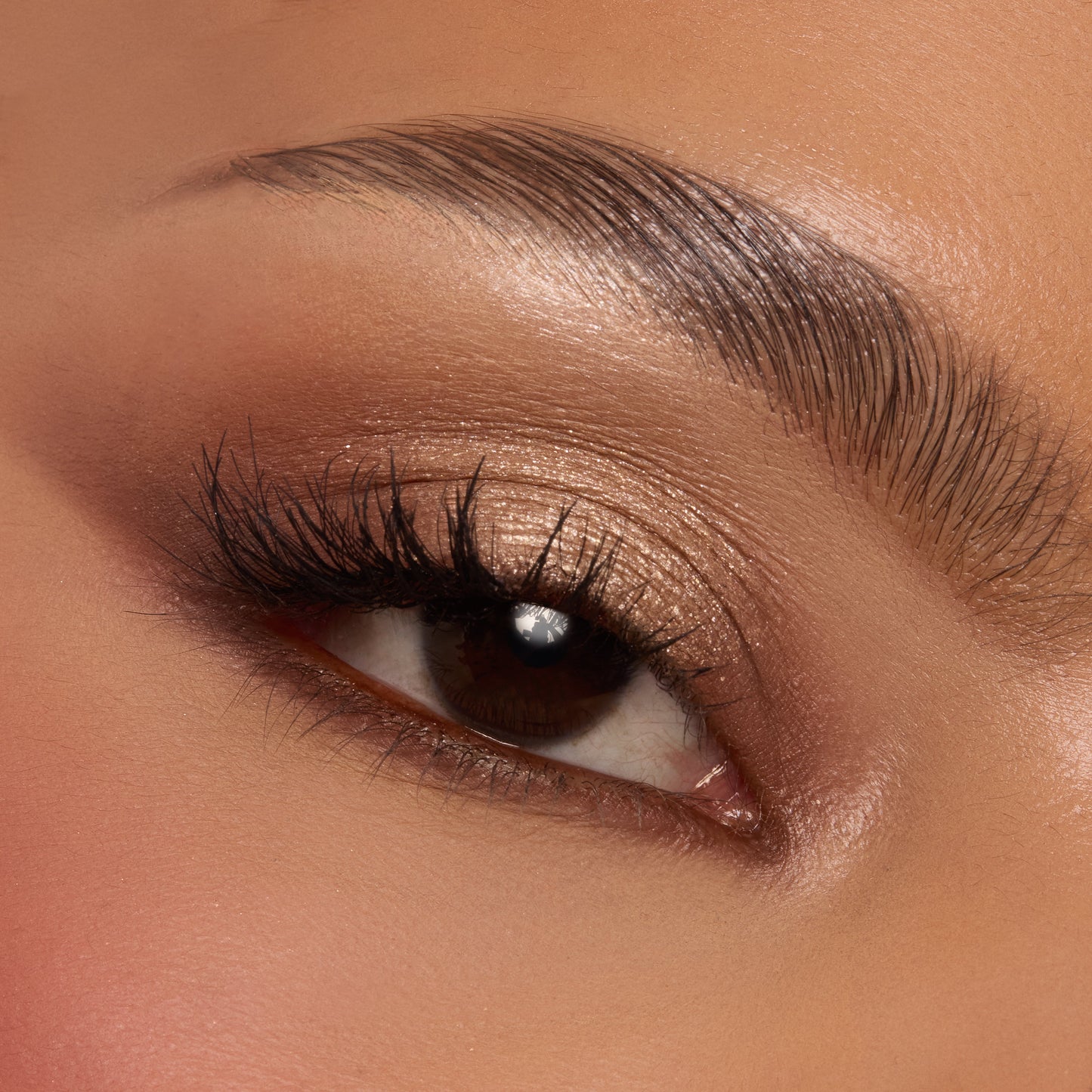 Shadow Palette - Image 5
