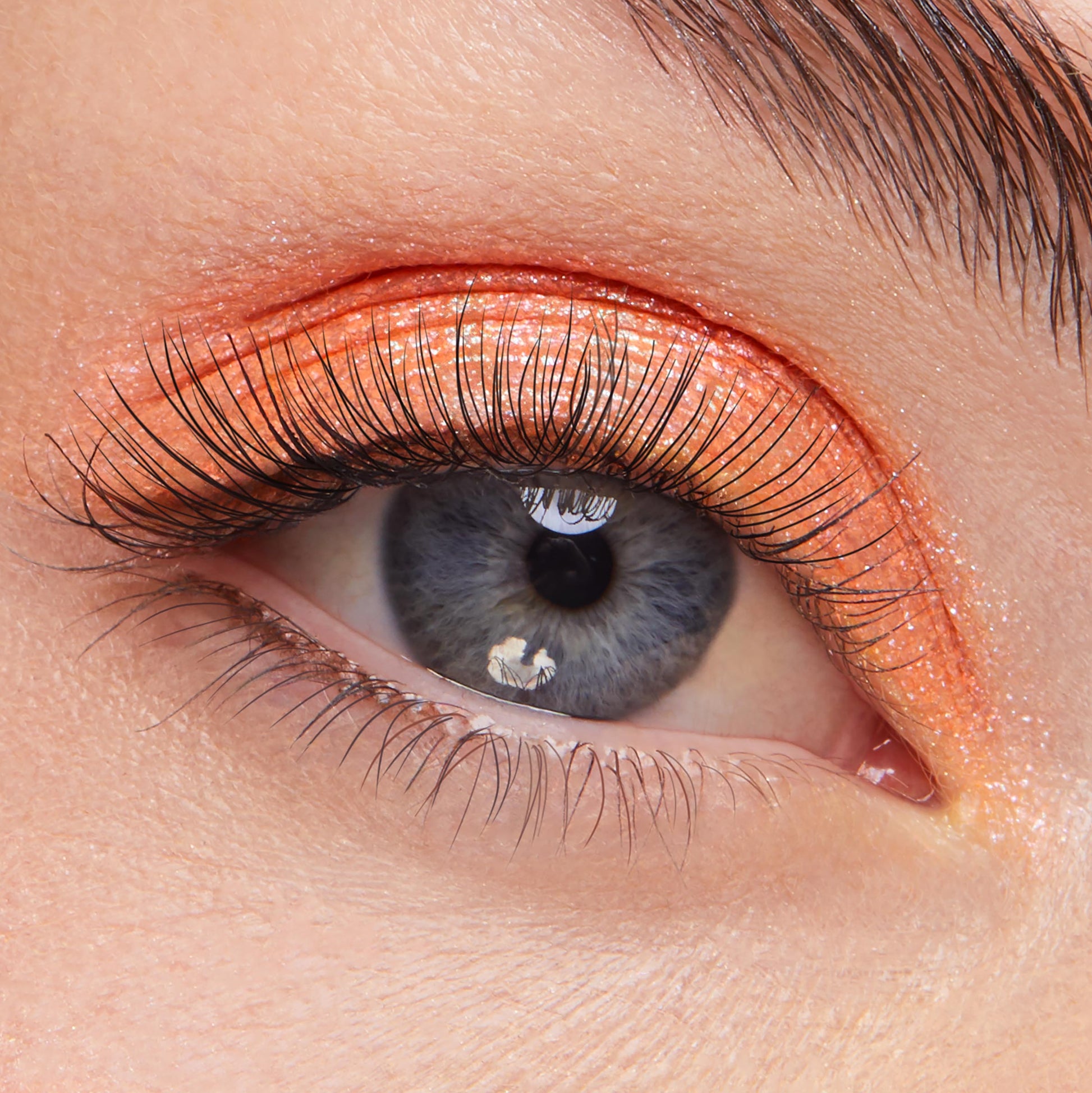 Super Shock Shadow - Image 4