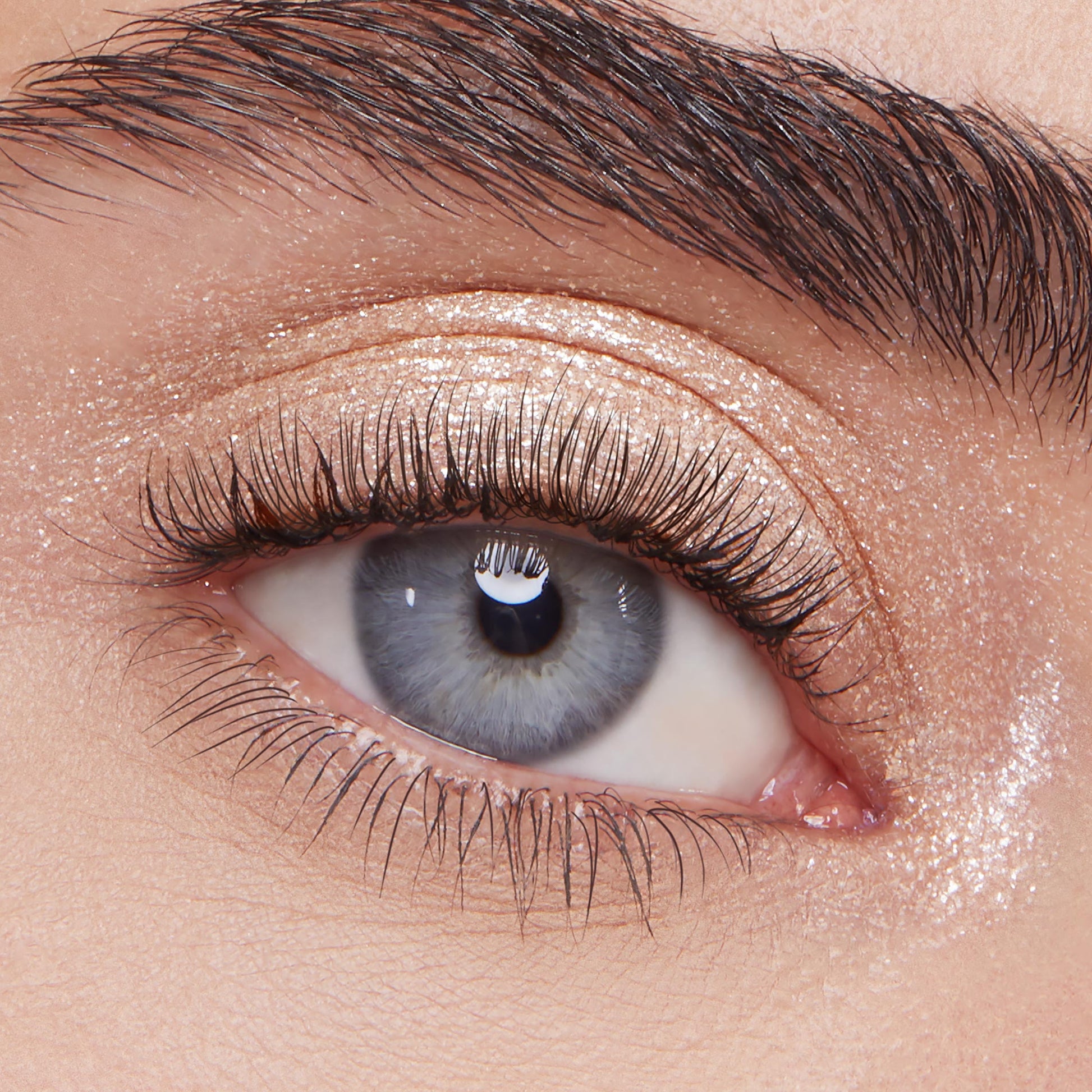Super Shock Shadow - Image 4