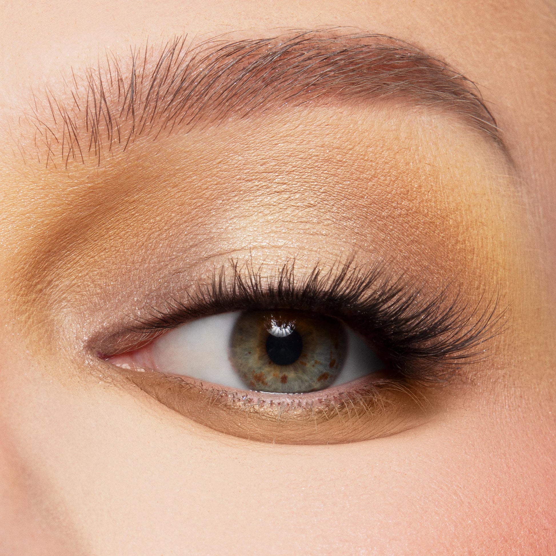 Shadow Palette - Image 5