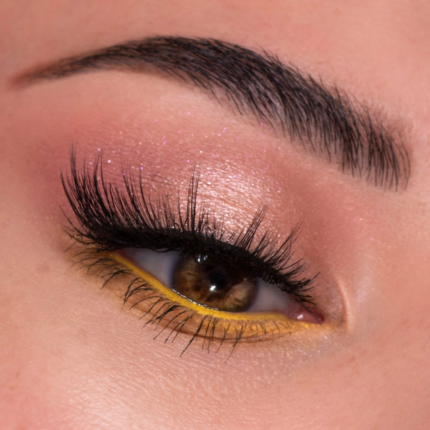 Shadow Palette - Image 4