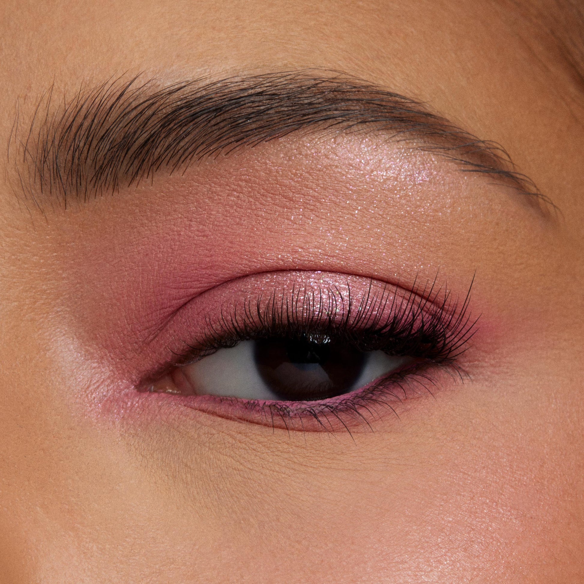 Shadow Palette - Image 4
