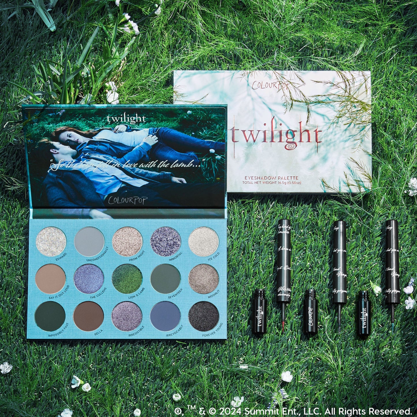Shadow Palette & Graphix Ink Liner Set