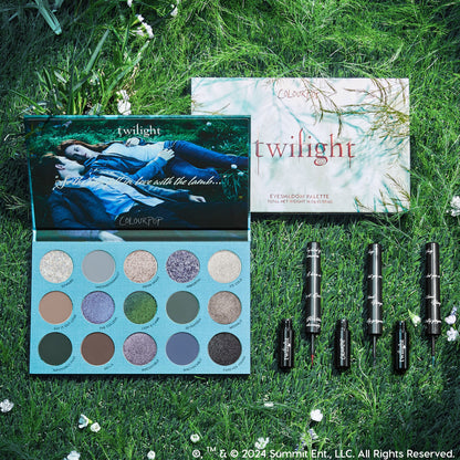 Shadow Palette & Graphix Ink Liner Set