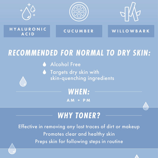 Face Toner - Image 2