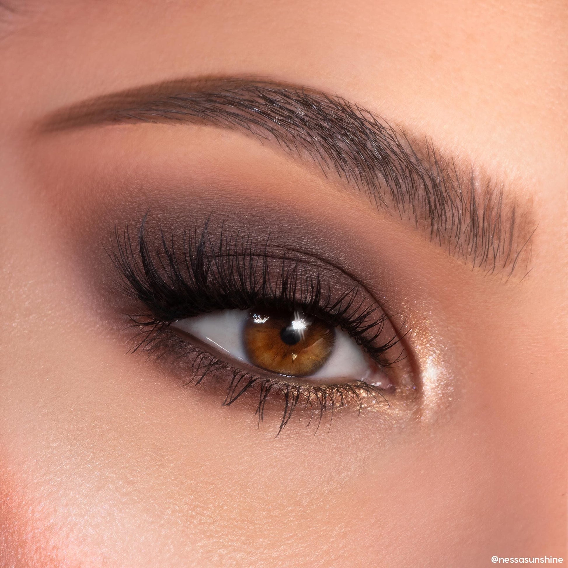 Shadow Palette - Image 4