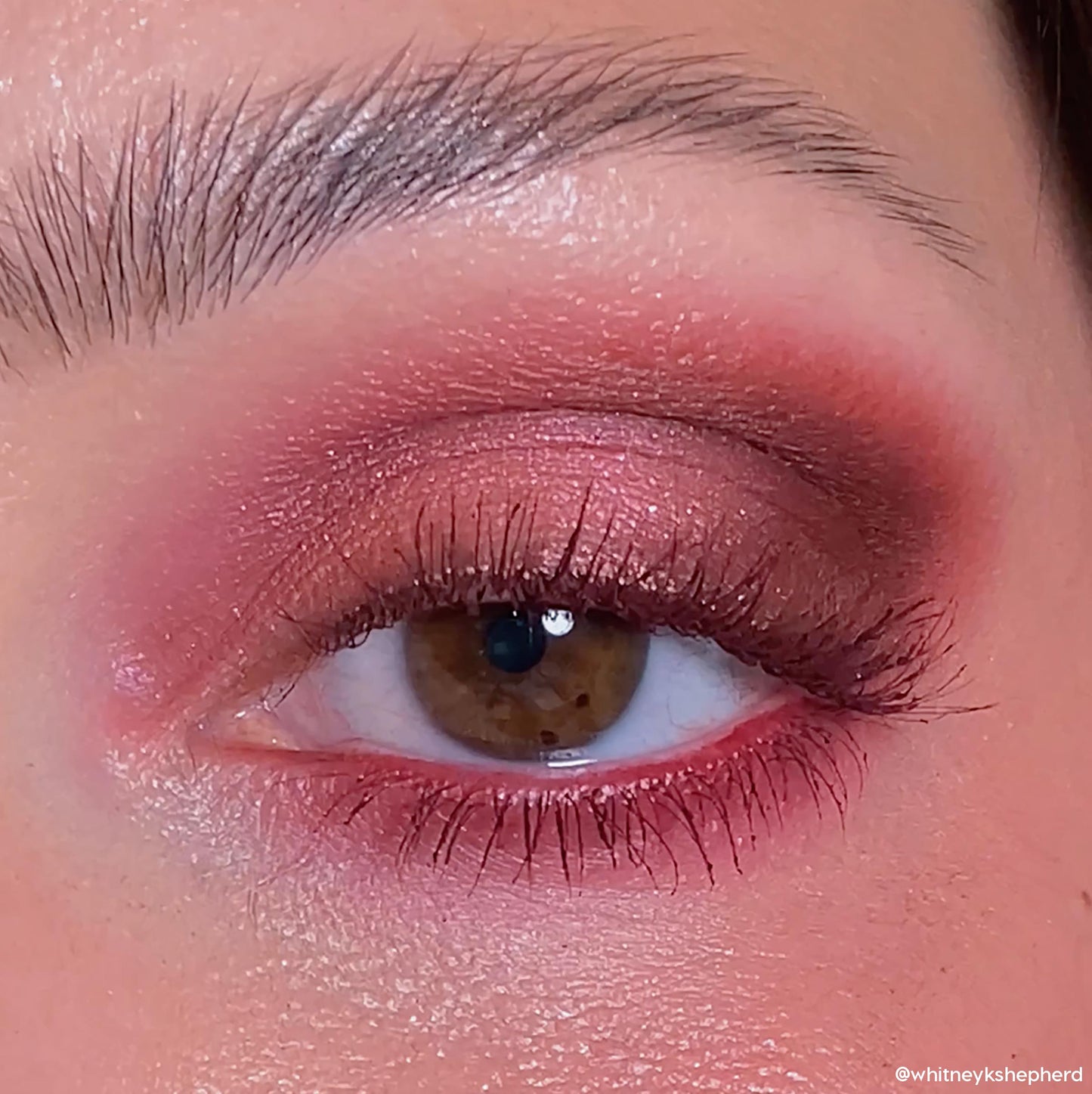 Shadow Palette - Image 3