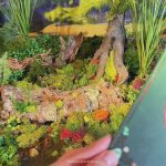 <span class=bbbbb>ColourPop X DreamWorks Shrek</span><br/><b class=ccccc>Full Collection Set</b> - Image 8