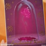 <span class=bbbbb>Enchanted Rose</span><br/><b class=ccccc>Overnight Lip Mask</b> - Image 7