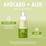 <span class=bbbbb>Avocado + Aloe Double Shot</span><br/><b class=ccccc>Nourishing Face Serum</b> - Image 4
